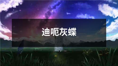 迪呃灰蝶