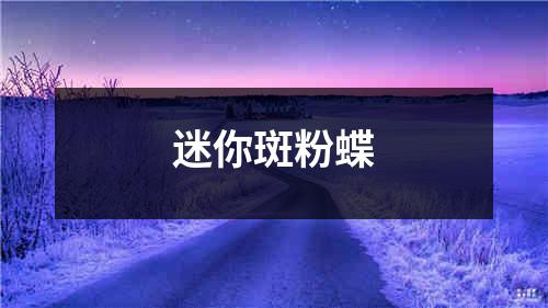 迷你斑粉蝶