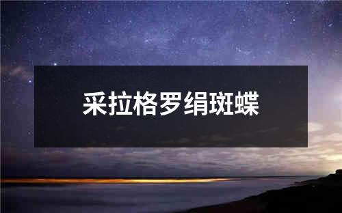 采拉格罗绢斑蝶