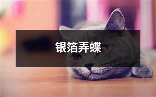 银箔弄蝶