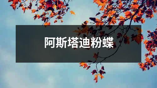 阿斯塔迪粉蝶