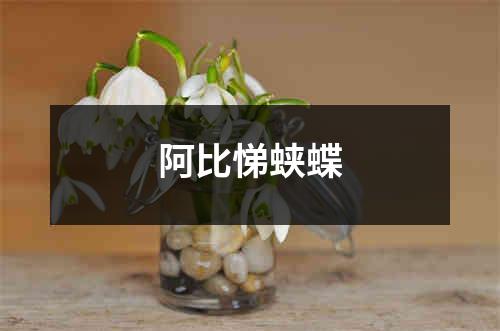 阿比悌蛱蝶