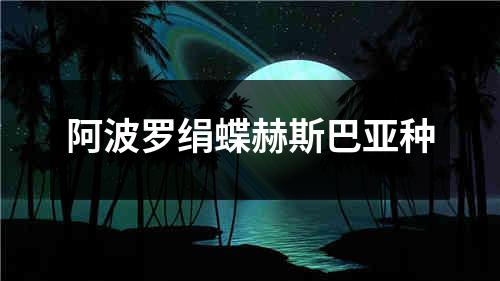 阿波罗绢蝶赫斯巴亚种