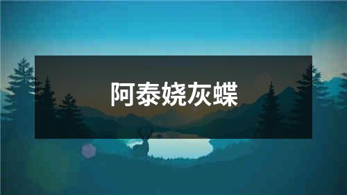 阿泰娆灰蝶