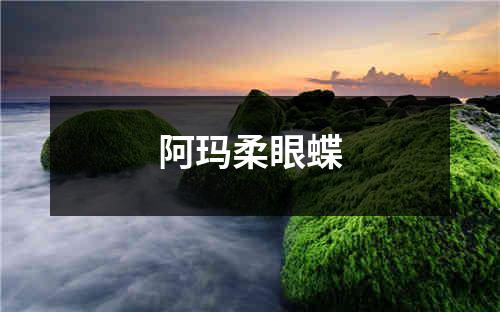 阿玛柔眼蝶