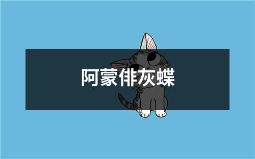 阿蒙俳灰蝶