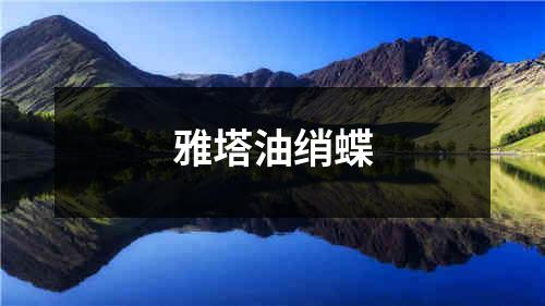 雅塔油绡蝶