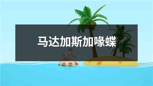 马达加斯加喙蝶