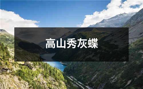 高山秀灰蝶