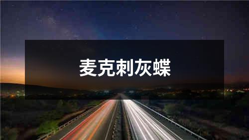 麦克刺灰蝶