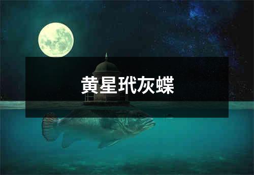 黄星玳灰蝶