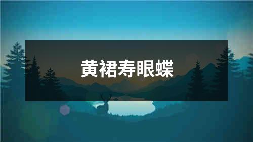 黄裙寿眼蝶