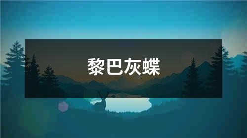 黎巴灰蝶