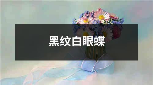 黑纹白眼蝶