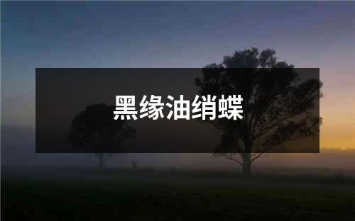 黑缘油绡蝶