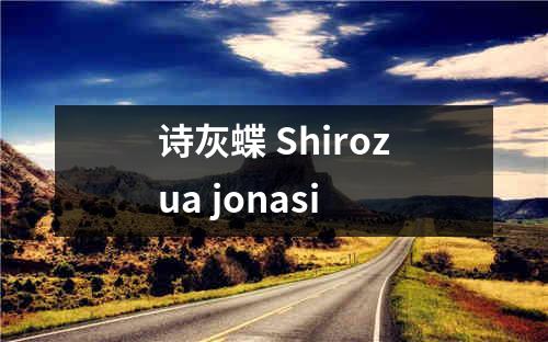 诗灰蝶 Shirozua jonasi