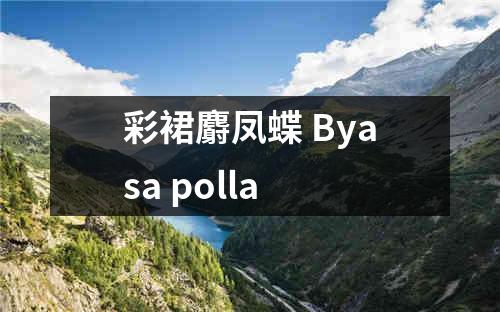 彩裙麝凤蝶 Byasa polla