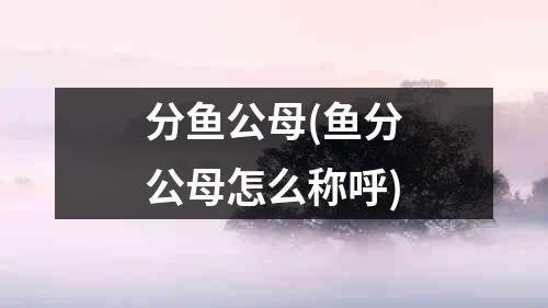 分鱼公母(鱼分公母怎么称呼)