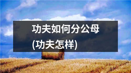 功夫如何分公母(功夫怎样)