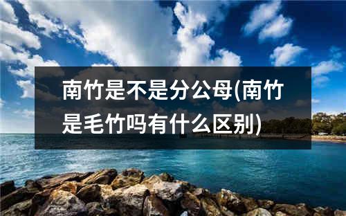 南竹是不是分公母(南竹是毛竹吗有什么区别)