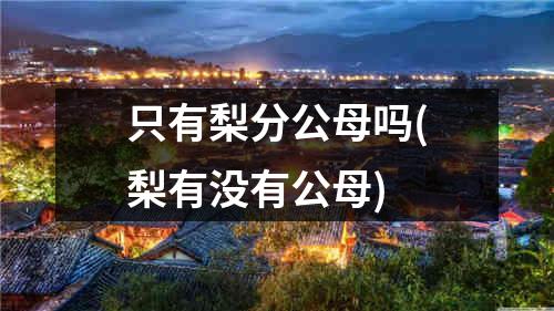 只有梨分公母吗(梨有没有公母)