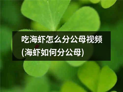 吃海虾怎么分公母视频(海虾如何分公母)