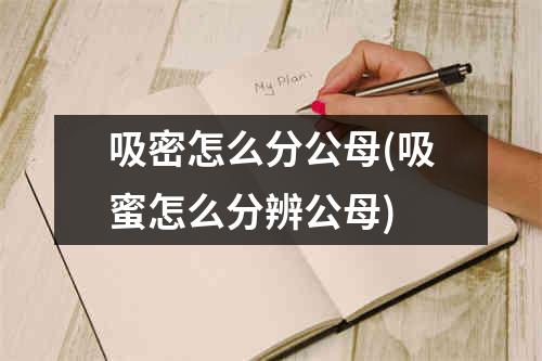 吸密怎么分公母(吸蜜怎么分辨公母)