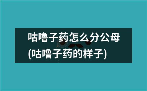 咕噜子药怎么分公母(咕噜子药的样子)