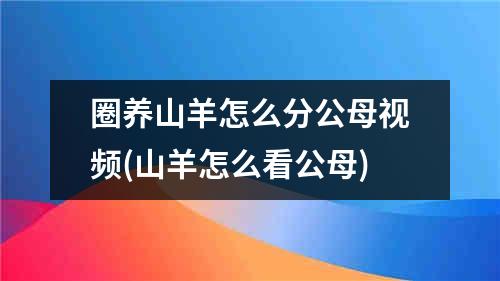 圈养山羊怎么分公母视频(山羊怎么看公母)