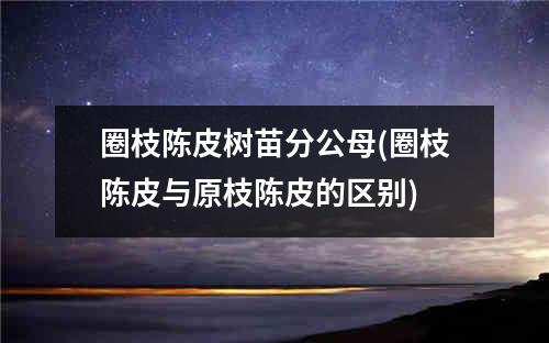 圈枝陈皮树苗分公母(圈枝陈皮与原枝陈皮的区别)