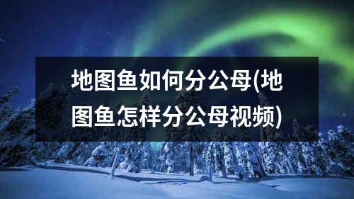 地图鱼如何分公母(地图鱼怎样分公母视频)