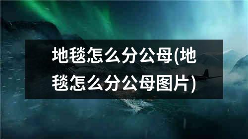 地毯怎么分公母(地毯怎么分公母图片)