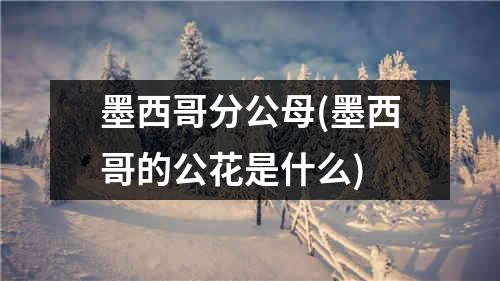 墨西哥分公母(墨西哥的公花是什么)