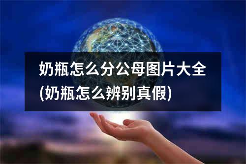 奶瓶怎么分公母图片大全(奶瓶怎么辨别真假)