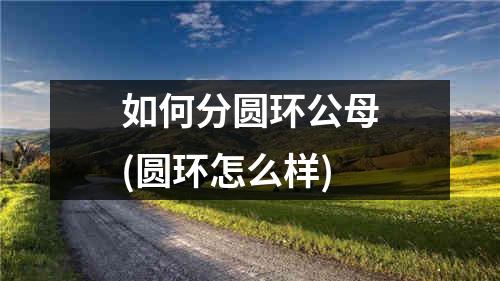 如何分圆环公母(圆环怎么样)