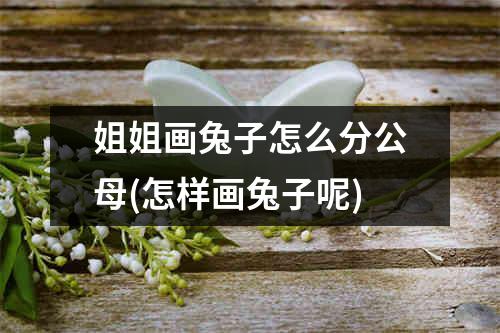 姐姐画兔子怎么分公母(怎样画兔子呢)