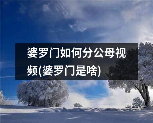 婆罗门如何分公母视频(婆罗门是啥)