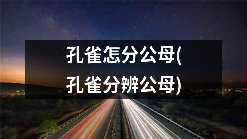 孔雀怎分公母(孔雀分辨公母)