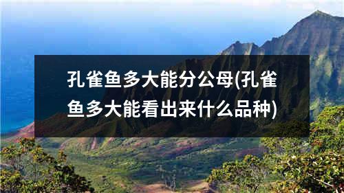 孔雀鱼多大能分公母(孔雀鱼多大能看出来什么品种)