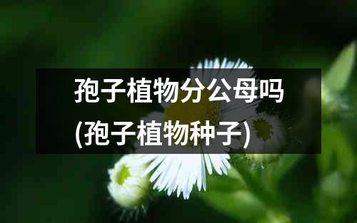 孢子植物分公母吗(孢子植物种子)