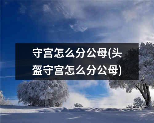 守宫怎么分公母(头盔守宫怎么分公母)