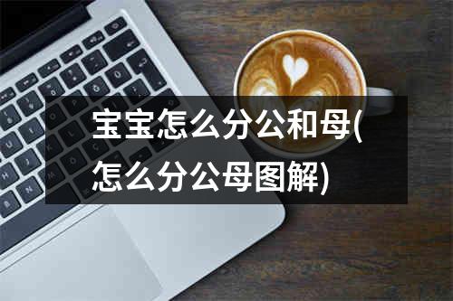 宝宝怎么分公和母(怎么分公母图解)