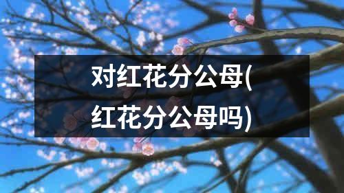 对红花分公母(红花分公母吗)