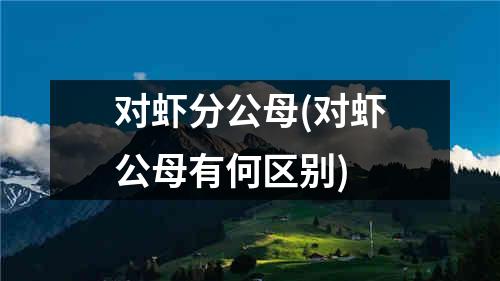 对虾分公母(对虾公母有何区别)