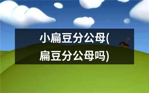 小扁豆分公母(扁豆分公母吗)