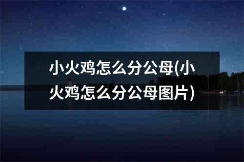 小火鸡怎么分公母(小火鸡怎么分公母图片)