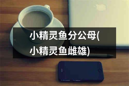 小精灵鱼分公母(小精灵鱼雌雄)