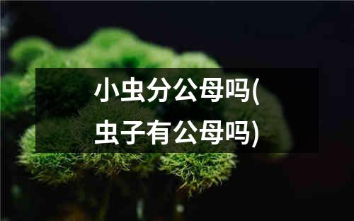 小虫分公母吗(虫子有公母吗)