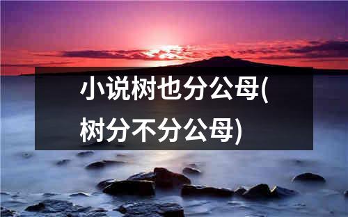 小说树也分公母(树分不分公母)