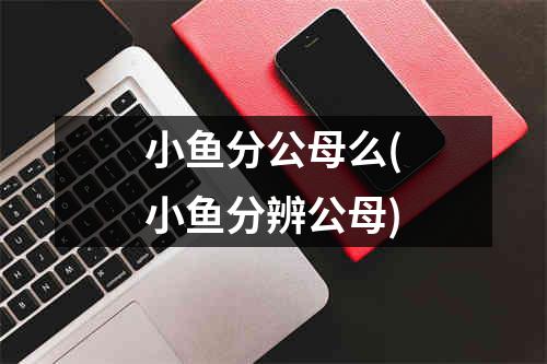 小鱼分公母么(小鱼分辨公母)